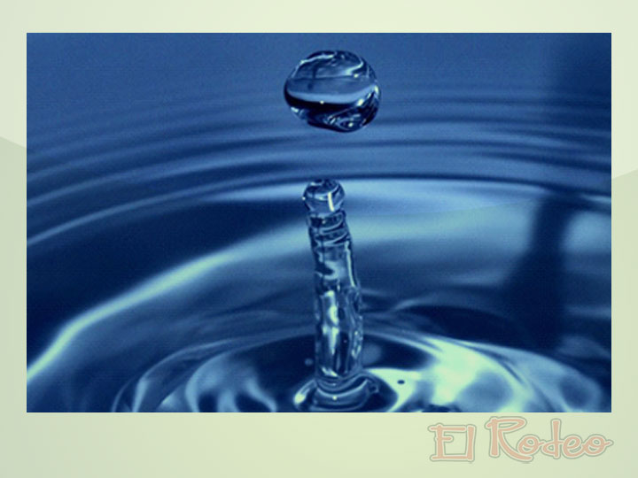 Análisis e Interpretación de Muestras de Agua para Consumo Bovino